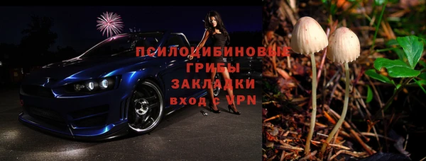кокс Щигры