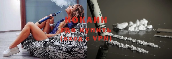 стаф Дмитров