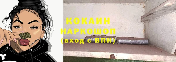 стаф Дмитров