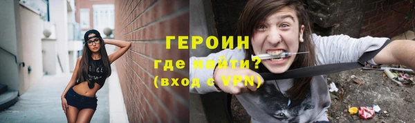 стаф Дмитров