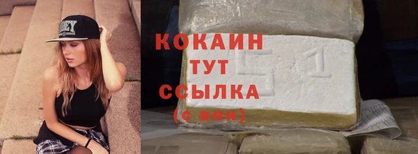 стаф Дмитров