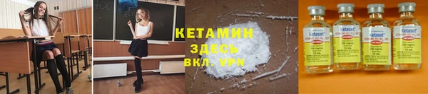 стаф Дмитров