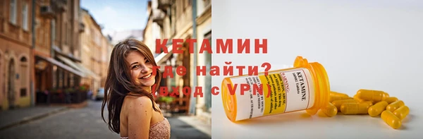 стаф Дмитров