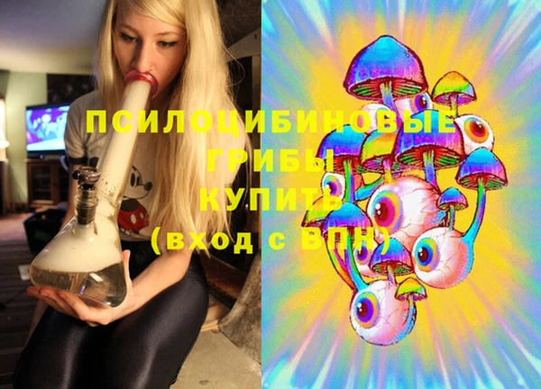 меф Дмитриев