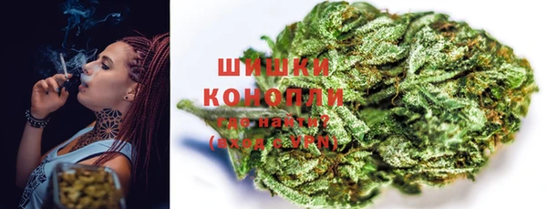 стаф Дмитров