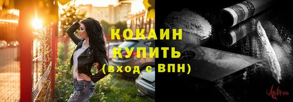 стаф Дмитров