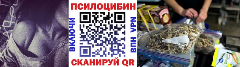 Галлюциногенные грибы MAGIC MUSHROOMS Купить где Искитим